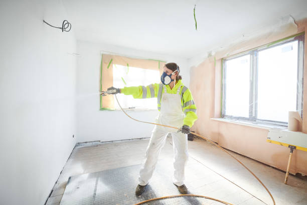 Biohazard Mold Removal in Lake Shore, WA