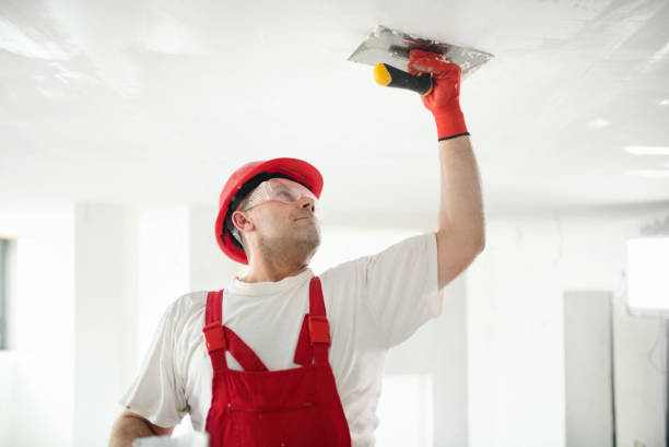 Best Real Estate Mold Inspection  in Lake Shore, WA
