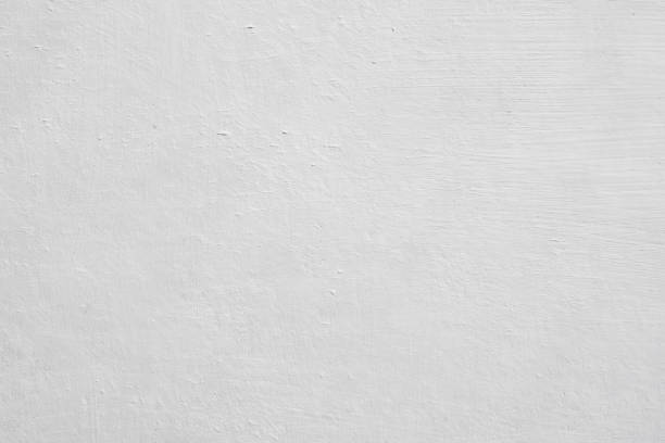 Trusted Lake Shore, WA Mold Removal Experts