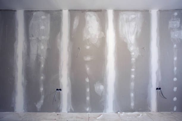 Best Crawl Space Mold Remediation  in Lake Shore, WA